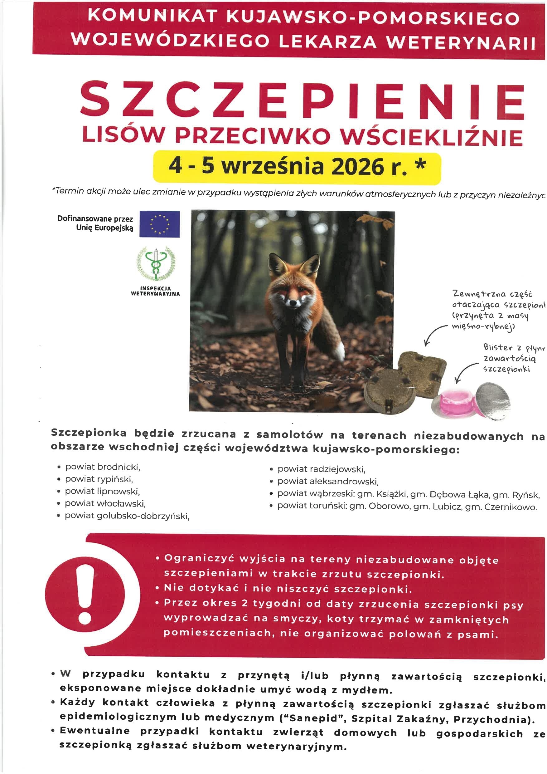 Plakat Lisy page 0001aaa